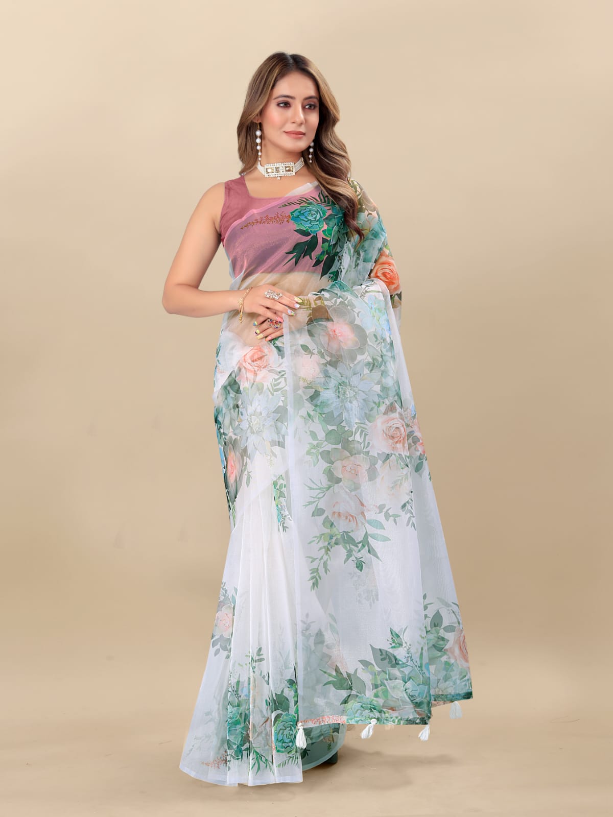 Shree Radha Raman Organza Printed Sarees Catalog